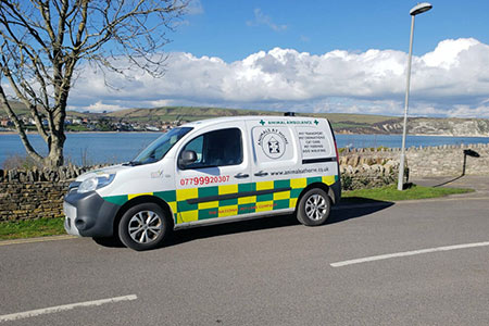 کمک های اولیه و اورژانس حیوانات