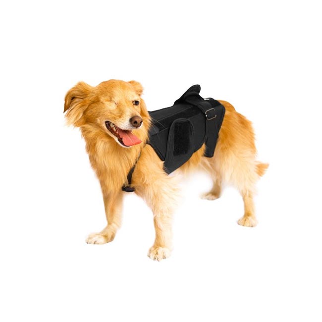 back-brace بریس کمر (Back brace)