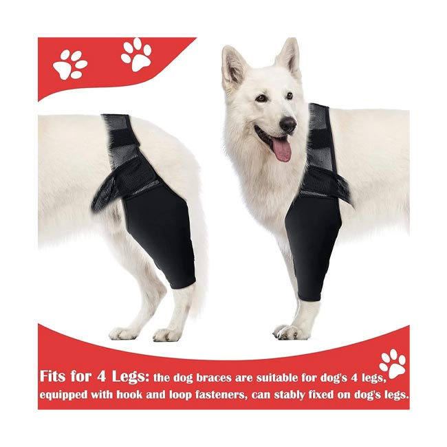 Asixxsix-dog-brace آستین محافظ شانه و ران سگ برند Asixxsix
