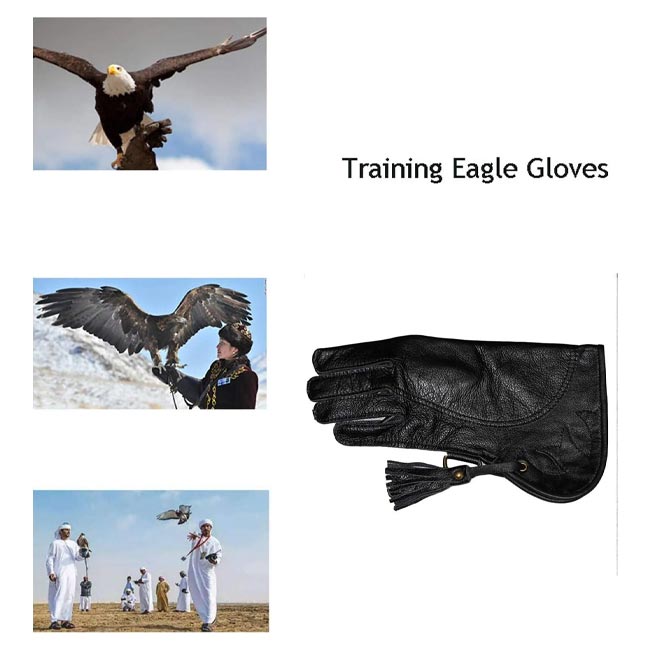 Eagle-and-hunting-birds-training-leather1 دستکش چرمی آموزشی عقاب و پرندگان شکاری برند QJJML